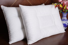 羽翼生輝，暖動蕭山 第十五屆中國羽絨制品及服裝服飾博覽會暨首屆蕭山國際羽絨節啟幕