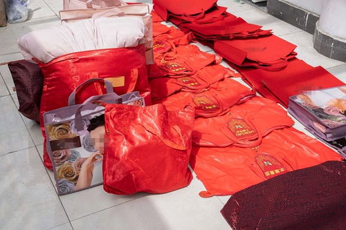 低至四折的明星產品藏貓膩 水星家紡大豆被遭仿冒，上海警方搗毀偽劣羽絨制品窩點